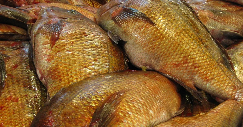 Itinéraire recommandé : Tsukiji puis Ameyoko en une matinée