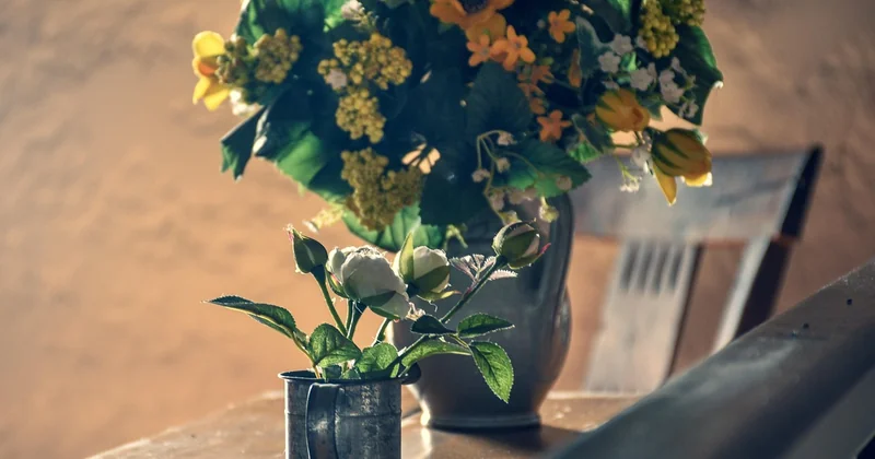 Les produits à reconnaître sur une table provençale
